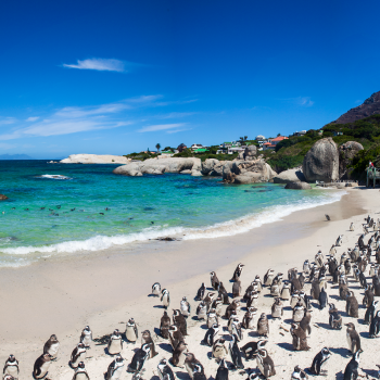 Cape Town