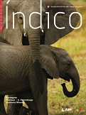 Revista-Indico-33