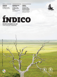 CAPA_IND83