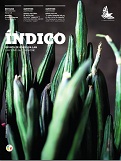 Revista indico 41