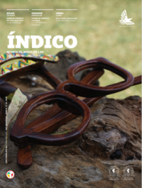 Revista Indico nrº 76