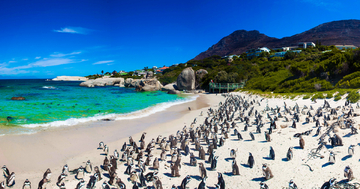 Maputo-Cape town