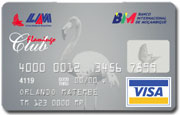 visa silver